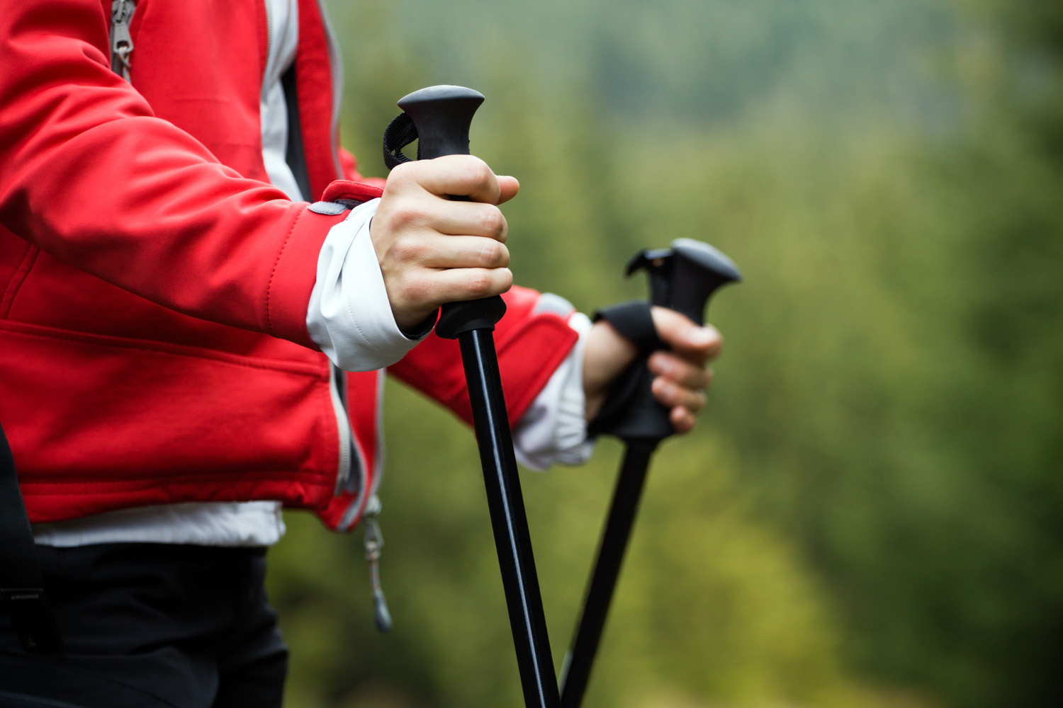 Nordic Walking hands Pilates Plus Physiotherapy Edinburgh